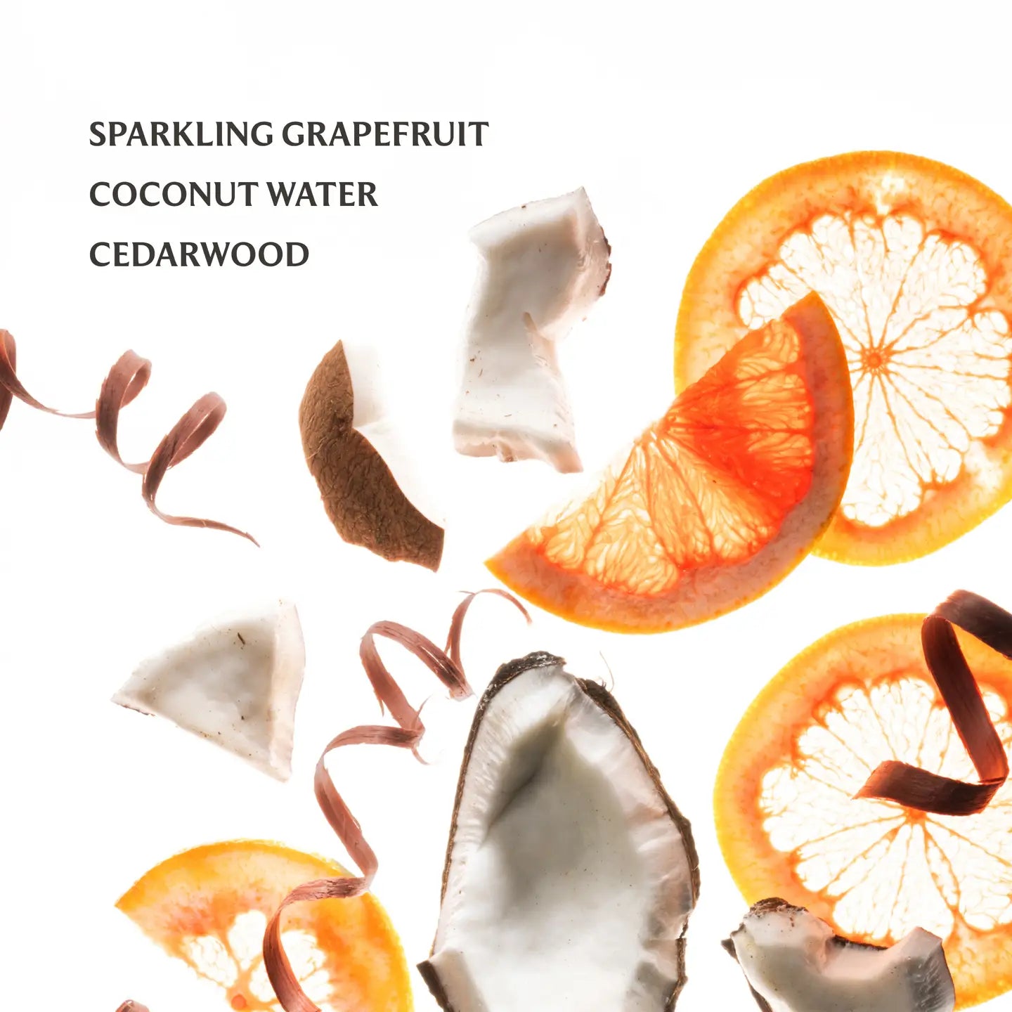 Touchland | Beach Coco Power Mist Hydrating Hand Sanitizer