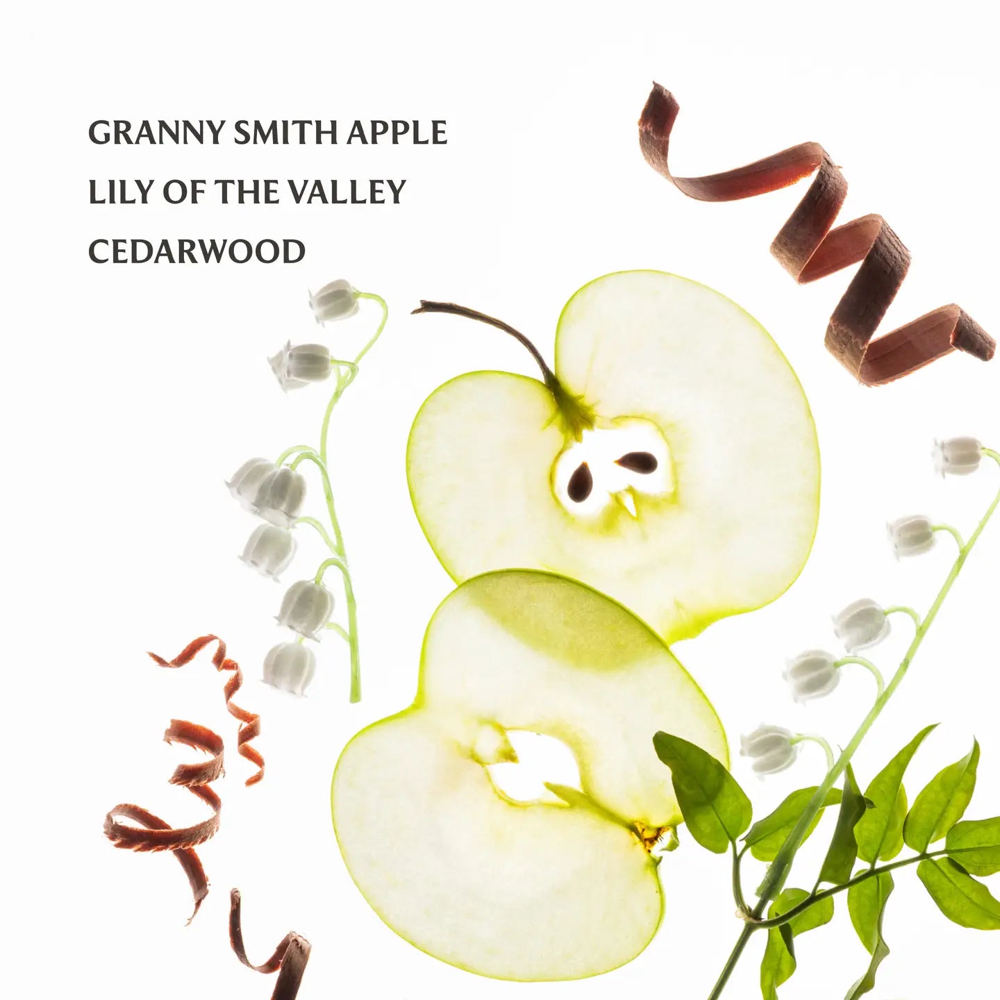 Touchland | Applelicious Power Mist Hydrating Hand Sanitizer