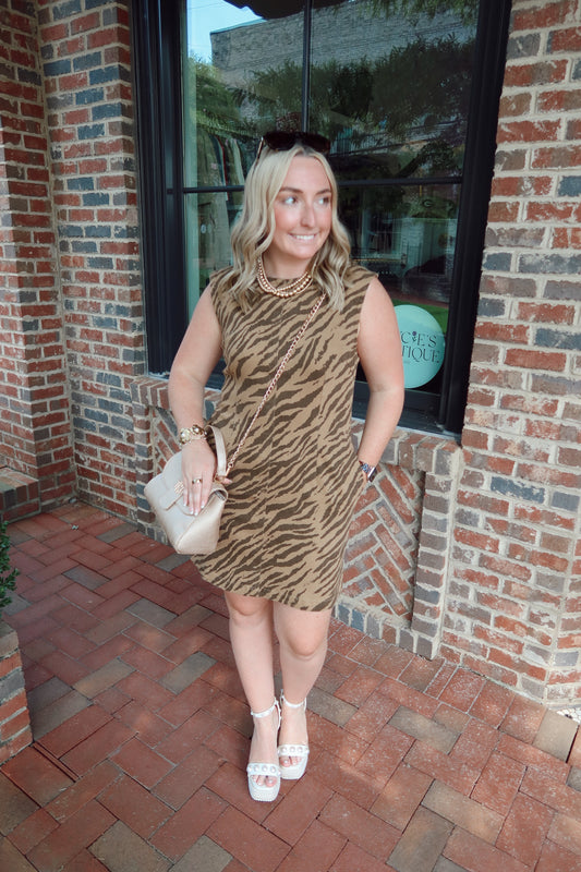 Zebra Denim Mini Dress