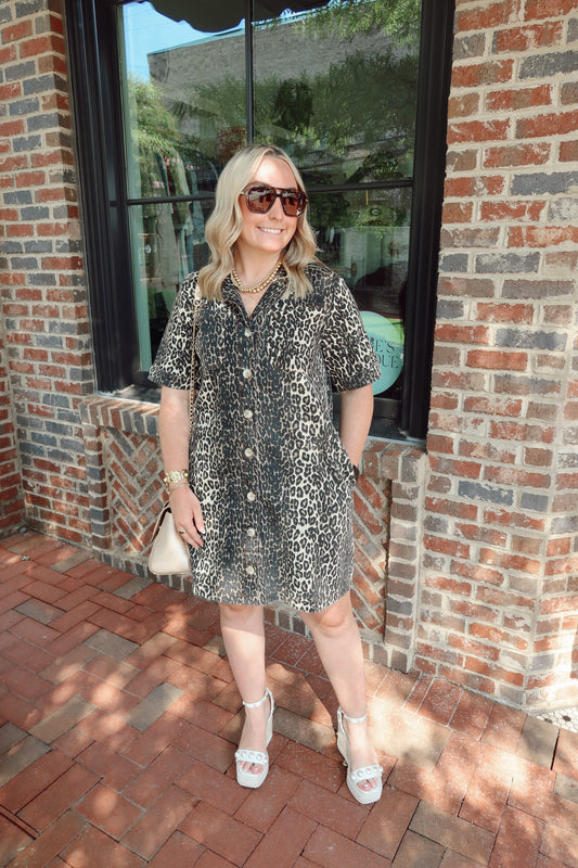Leopard Short Sleeve Mini Dress