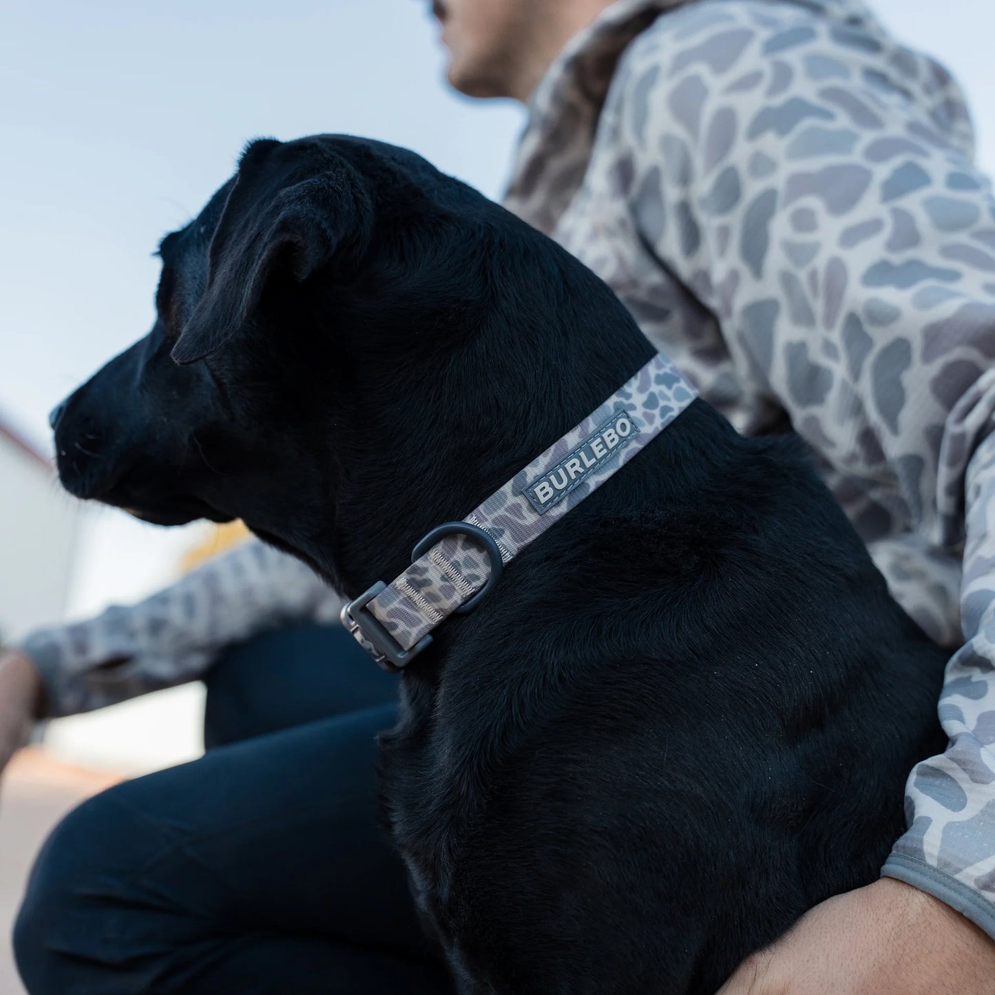 Burlebo Dog Collar | Classic Deer Camo
