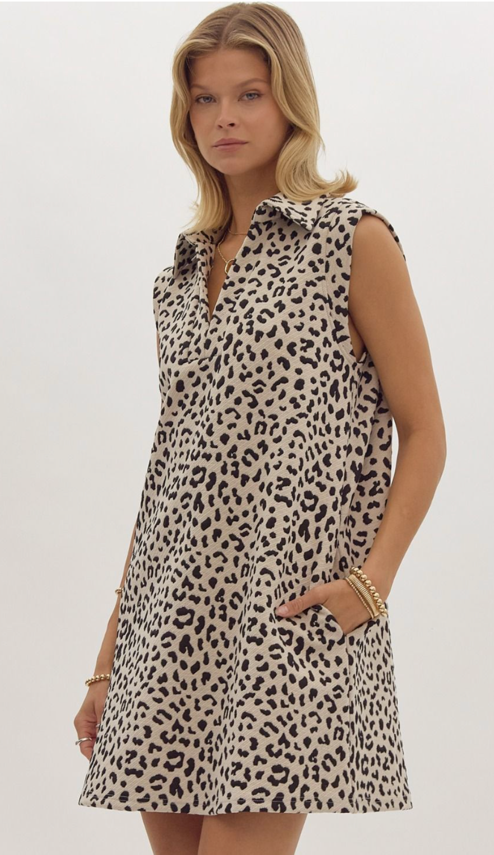 Leopard V-Neck Collared Mini Dress (2 colors)