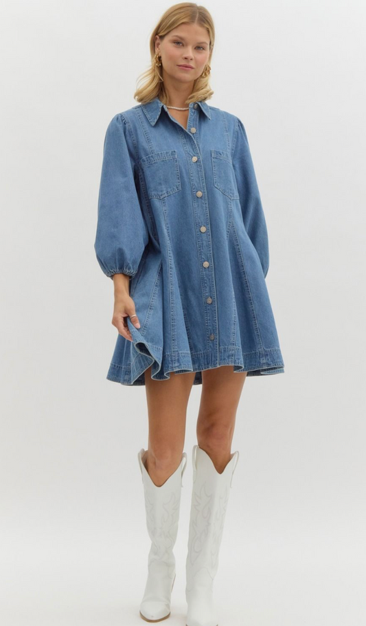 Denim Button Up Long Sleeve Mini Dress